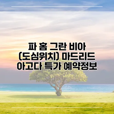 파 홈 그란 비아 (도심위치) 마드리드 아고다 특가 예약정보