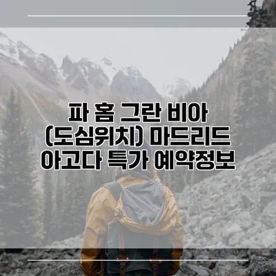 파 홈 그란 비아 (도심위치) 마드리드 아고다 특가 예약정보