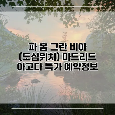 파 홈 그란 비아 (도심위치) 마드리드 아고다 특가 예약정보