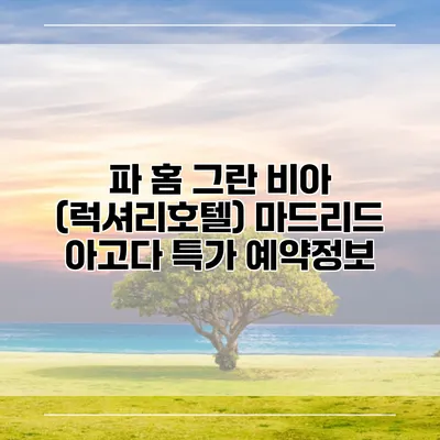 파 홈 그란 비아 (럭셔리호텔) 마드리드 아고다 특가 예약정보