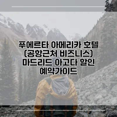 푸에르타 아메리카 호텔 (공항근처 비즈니스) 마드리드 아고다 할인 예약가이드