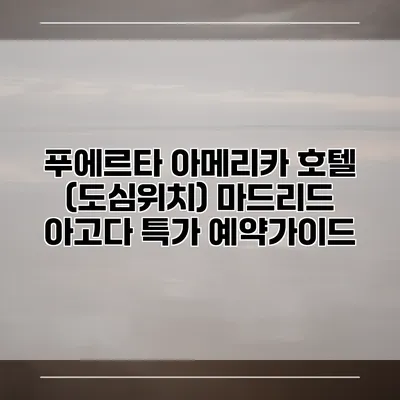 푸에르타 아메리카 호텔 (도심위치) 마드리드 아고다 특가 예약가이드