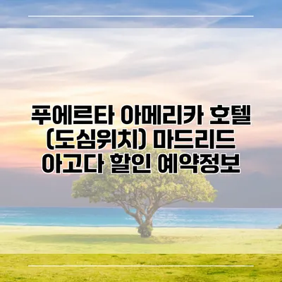 푸에르타 아메리카 호텔 (도심위치) 마드리드 아고다 할인 예약정보