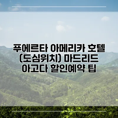 푸에르타 아메리카 호텔 (도심위치) 마드리드 아고다 할인예약 팁
