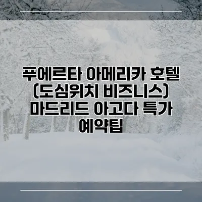 푸에르타 아메리카 호텔 (도심위치 비즈니스) 마드리드 아고다 특가 예약팁