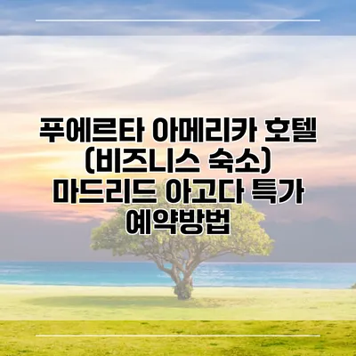 푸에르타 아메리카 호텔 (비즈니스 숙소) 마드리드 아고다 특가 예약방법