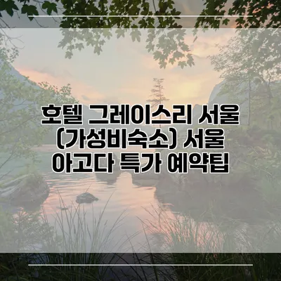 호텔 그레이스리 서울 (가성비숙소) 서울 아고다 특가 예약팁