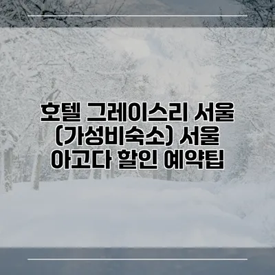 호텔 그레이스리 서울 (가성비숙소) 서울 아고다 할인 예약팁