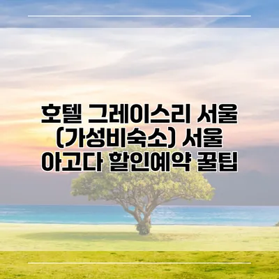 호텔 그레이스리 서울 (가성비숙소) 서울 아고다 할인예약 꿀팁