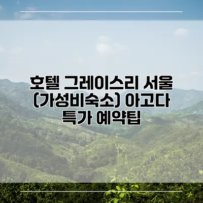 호텔 그레이스리 서울 (가성비숙소) 아고다 특가 예약팁