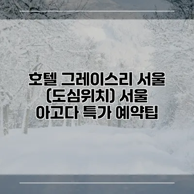 호텔 그레이스리 서울 (도심위치) 서울 아고다 특가 예약팁