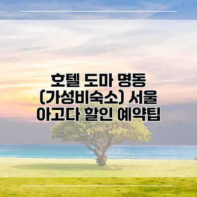 호텔 도마 명동 (가성비숙소) 서울 아고다 할인 예약팁