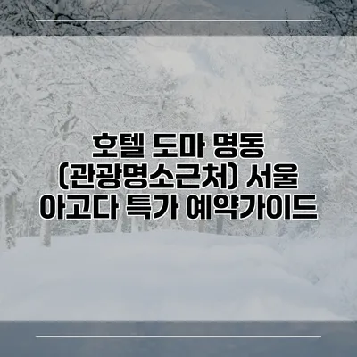 호텔 도마 명동 (관광명소근처) 서울 아고다 특가 예약가이드