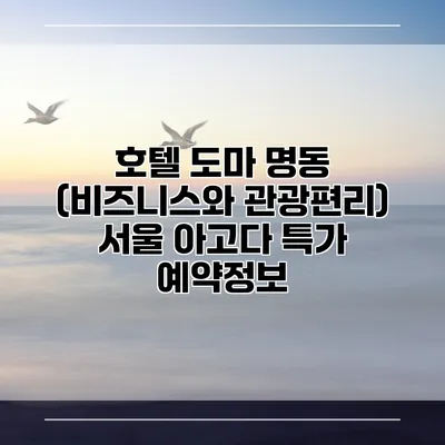 호텔 도마 명동 (비즈니스와 관광편리) 서울 아고다 특가 예약정보