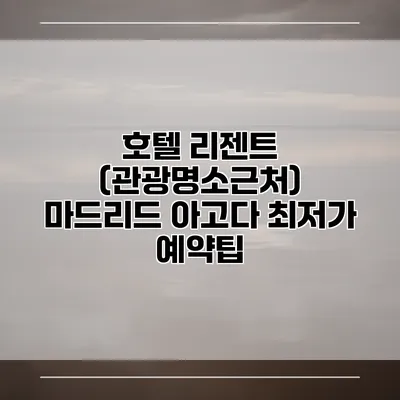 호텔 리젠트 (관광명소근처) 마드리드 아고다 최저가 예약팁