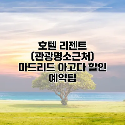 호텔 리젠트 (관광명소근처) 마드리드 아고다 할인 예약팁