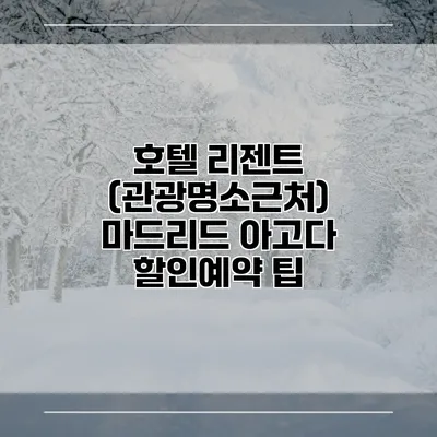 호텔 리젠트 (관광명소근처) 마드리드 아고다 할인예약 팁