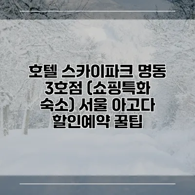 호텔 스카이파크 명동 3호점 (쇼핑특화 숙소) 서울 아고다 할인예약 꿀팁