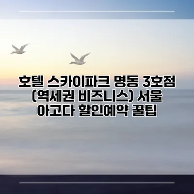 호텔 스카이파크 명동 3호점 (역세권 비즈니스) 서울 아고다 할인예약 꿀팁