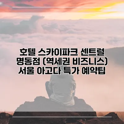 호텔 스카이파크 센트럴 명동점 (역세권 비즈니스) 서울 아고다 특가 예약팁