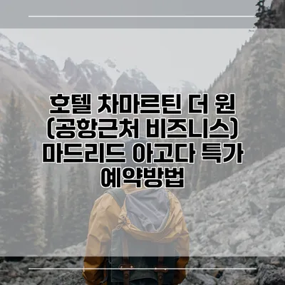 호텔 차마르틴 더 원 (공항근처 비즈니스) 마드리드 아고다 특가 예약방법