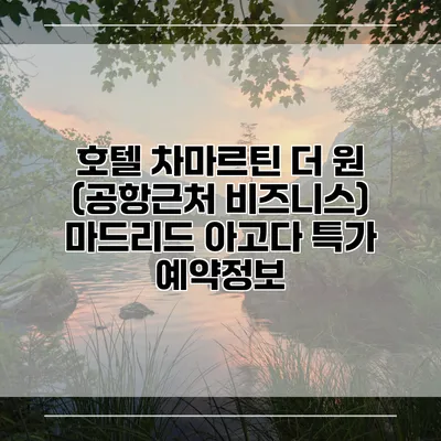 호텔 차마르틴 더 원 (공항근처 비즈니스) 마드리드 아고다 특가 예약정보