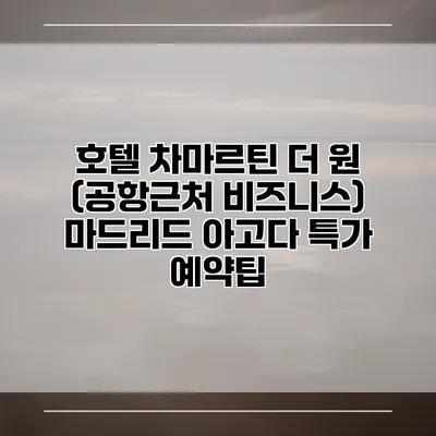 호텔 차마르틴 더 원 (공항근처 비즈니스) 마드리드 아고다 특가 예약팁