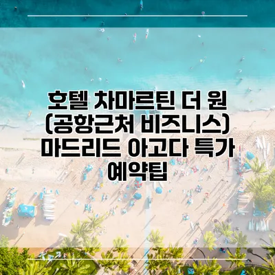 호텔 차마르틴 더 원 (공항근처 비즈니스) 마드리드 아고다 특가 예약팁