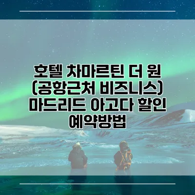 호텔 차마르틴 더 원 (공항근처 비즈니스) 마드리드 아고다 할인 예약방법