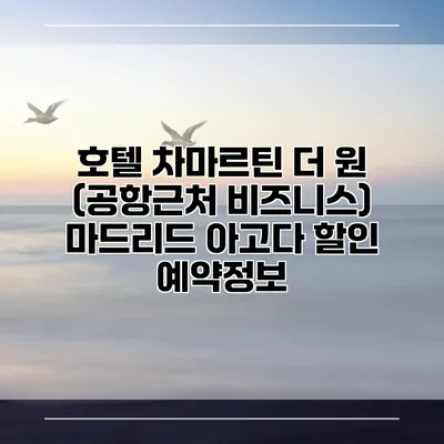 호텔 차마르틴 더 원 (공항근처 비즈니스) 마드리드 아고다 할인 예약정보