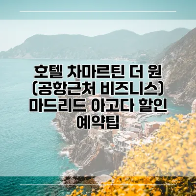호텔 차마르틴 더 원 (공항근처 비즈니스) 마드리드 아고다 할인 예약팁