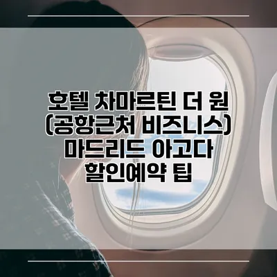 호텔 차마르틴 더 원 (공항근처 비즈니스) 마드리드 아고다 할인예약 팁
