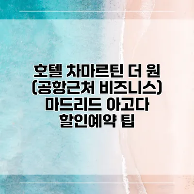 호텔 차마르틴 더 원 (공항근처 비즈니스) 마드리드 아고다 할인예약 팁