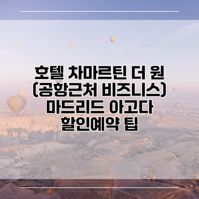 호텔 차마르틴 더 원 (공항근처 비즈니스) 마드리드 아고다 할인예약 팁