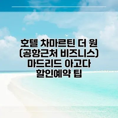 호텔 차마르틴 더 원 (공항근처 비즈니스) 마드리드 아고다 할인예약 팁