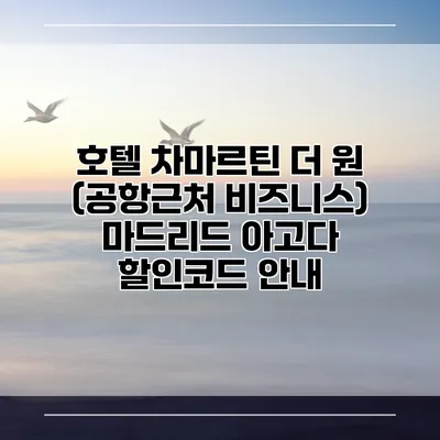 호텔 차마르틴 더 원 (공항근처 비즈니스) 마드리드 아고다 할인코드 안내