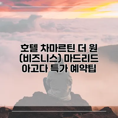 호텔 차마르틴 더 원 (비즈니스) 마드리드 아고다 특가 예약팁