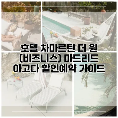 호텔 차마르틴 더 원 (비즈니스) 마드리드 아고다 할인예약 가이드