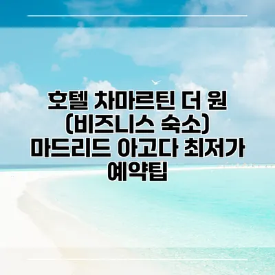 호텔 차마르틴 더 원 (비즈니스 숙소) 마드리드 아고다 최저가 예약팁