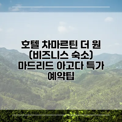 호텔 차마르틴 더 원 (비즈니스 숙소) 마드리드 아고다 특가 예약팁