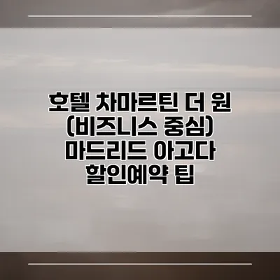 호텔 차마르틴 더 원 (비즈니스 중심) 마드리드 아고다 할인예약 팁