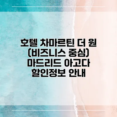 호텔 차마르틴 더 원 (비즈니스 중심) 마드리드 아고다 할인정보 안내