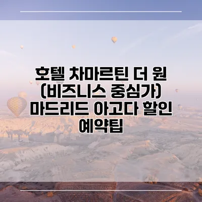 호텔 차마르틴 더 원 (비즈니스 중심가) 마드리드 아고다 할인 예약팁