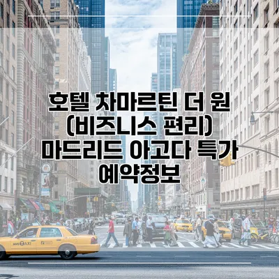 호텔 차마르틴 더 원 (비즈니스 편리) 마드리드 아고다 특가 예약정보