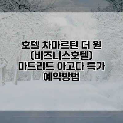 호텔 차마르틴 더 원 (비즈니스호텔) 마드리드 아고다 특가 예약방법