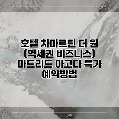 호텔 차마르틴 더 원 (역세권 비즈니스) 마드리드 아고다 특가 예약방법