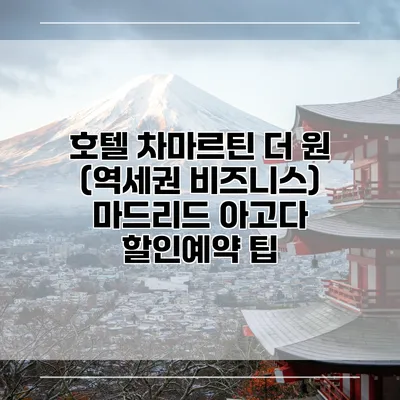 호텔 차마르틴 더 원 (역세권 비즈니스) 마드리드 아고다 할인예약 팁