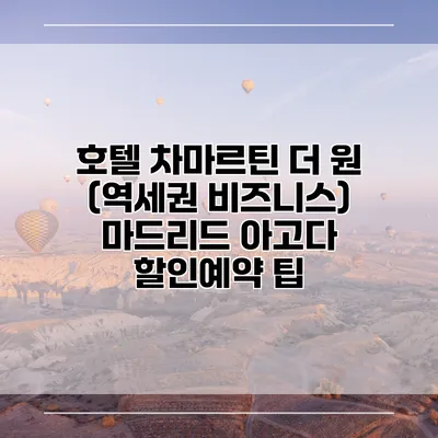 호텔 차마르틴 더 원 (역세권 비즈니스) 마드리드 아고다 할인예약 팁