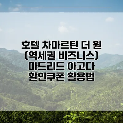 호텔 차마르틴 더 원 (역세권 비즈니스) 마드리드 아고다 할인쿠폰 활용법