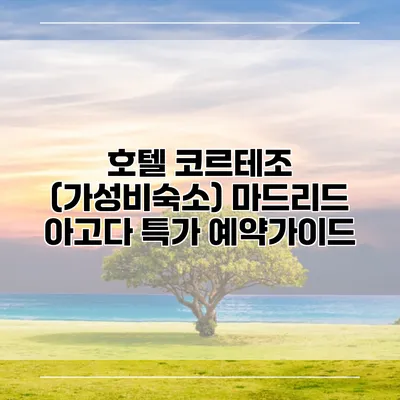 호텔 코르테조 (가성비숙소) 마드리드 아고다 특가 예약가이드